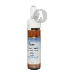 FM Sweet Chestnut (Castaño Dulce) · Forza Vitale · 10 Ml