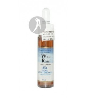 FM Wild Rose (Rosa Silvestre) · Forza Vitale · 10 Ml