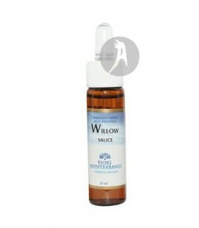 FM Willow (Sauce) · Forza Vitale · 10 Ml