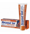 Harpasul Gel Masaje Deportivo · Natysal · 50 Ml