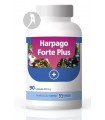 Harpago Forte Plus · Anroch · 90 Cápsulas