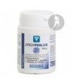 Ergyphilus Plus  · Nutergia · 60 Capsulas