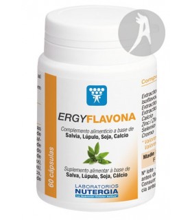 Ergyflavona · Nutergia · 60 Cápsulas