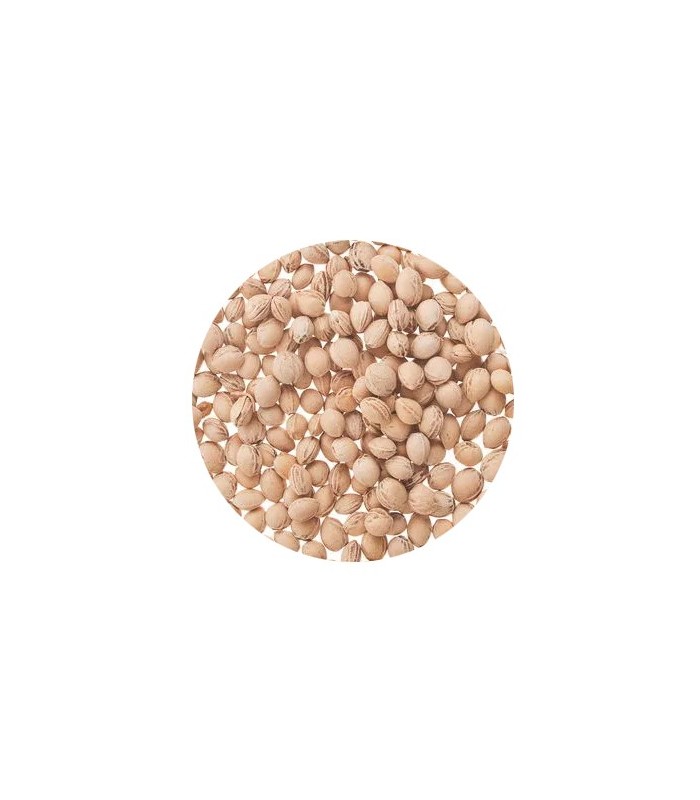 Saco Calor Modelo Indios · Huesos Cereza