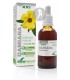 Extracto de Damiana XXI · Soria Natural · 50 Ml
