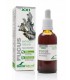 Fucus Extracto XXI · Soria Natural · 50 Ml