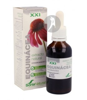 EXTRACTO-DE-EQUINACEA
