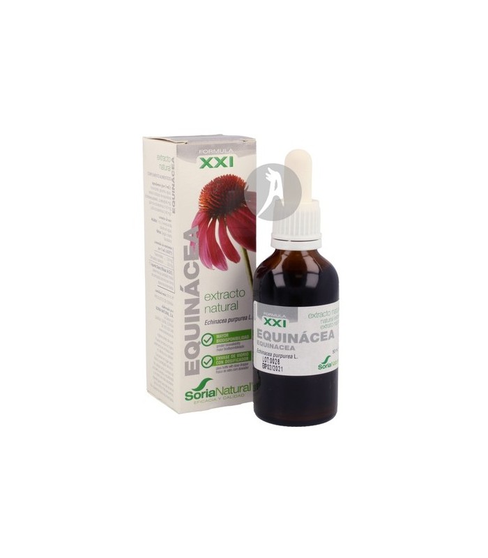EXTRACTO-DE-EQUINACEA