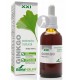 EXTRACTO-DE-GINKGO-BILOBA