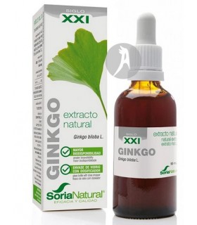 EXTRACTO-DE-GINKGO-BILOBA