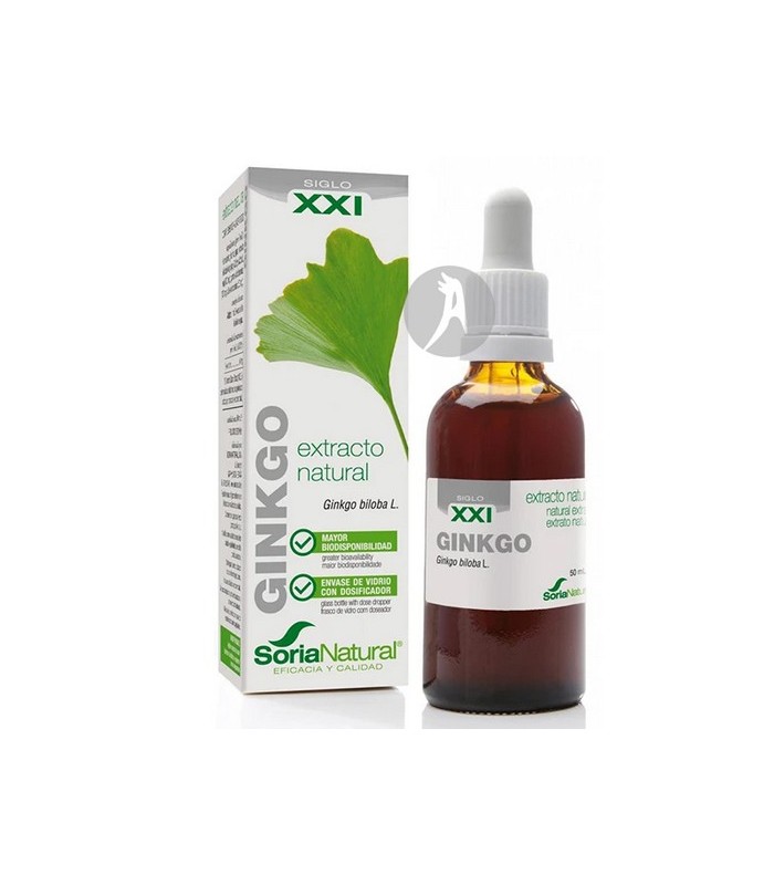 EXTRACTO-DE-GINKGO-BILOBA