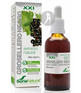 Extracto de Grosellero Negro XXI · Soria Natural · 50 Ml