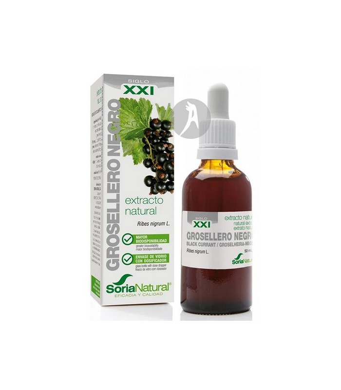 Extracto de Grosellero Negro XXI · Soria Natural · 50 Ml