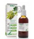 Extracto de Tila  XXI · Soria Natural · 50 Ml