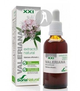 EXTRACTO-DE-VALERIANA