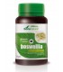 green vit&min 09 Boswelia · Soria Natural · 30 Comprimidos