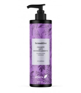 Champú Antiencrespamiento Sin Sulfatos · Ebers · 250 ML