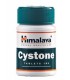 Cystone . Himalaya . 100 Tabletas