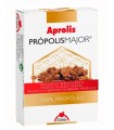 Aprolis Própolis Major (Propóleo Masticable) · Dietéticos Intersa · 10 Gr