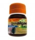 DHA Algae MG· Galavit · 30 Perlas