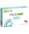 MicoNeo Sibo · Neo · 60 cápsulas