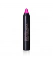 Pintalabios rosa fluor Basic Colourfun · Camaleon Cosmetics · 4Gr