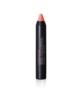 Pintalabios Nude mate Basic Colourfun · Camaleon Cosmetics · 4 Gr
