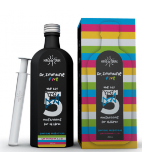 Jarabe Dr Inmune · Hifas da Terra · 250ml