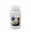 Quelatum Plus · Codiet · 60 cápsulas