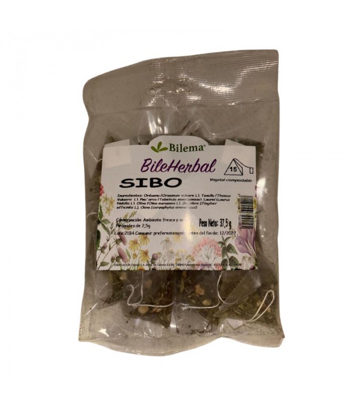 SIBO · Bilema · 15 piramides