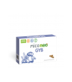MicoNeo GYB · Neo · 60 cápsulas