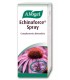 Echinaforce Spray Equinacea  · A.Vogel · 30 Ml