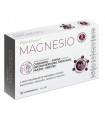 Magnesio· Phytoadvance · 30 comprimidos