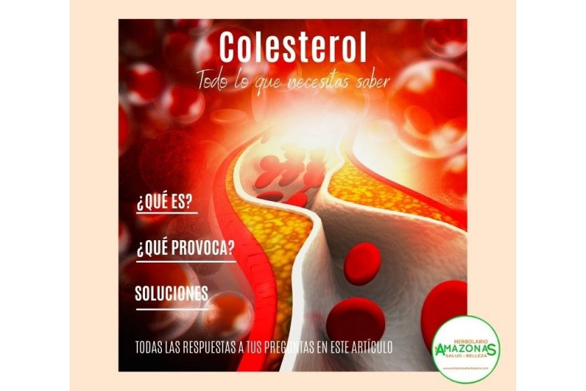 Colesterol, todo lo que necesitas saber