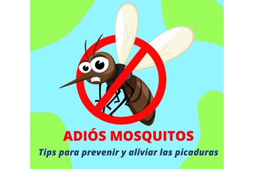 Adiós mosquitos. Tips para prevenir y aliviar sus picaduras