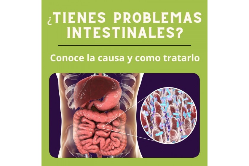 ¿Problemas intestinales? ¿Sabes lo que es el SIBO?