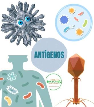 antigenos