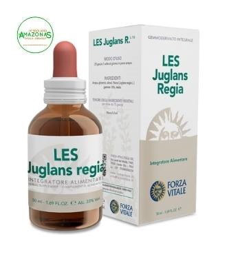 juglans regia