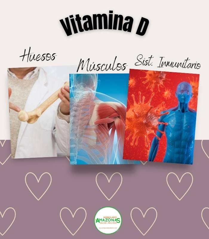 VITAMINA D