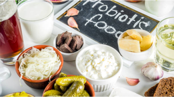probioticos